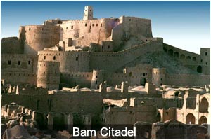Bam Citadel